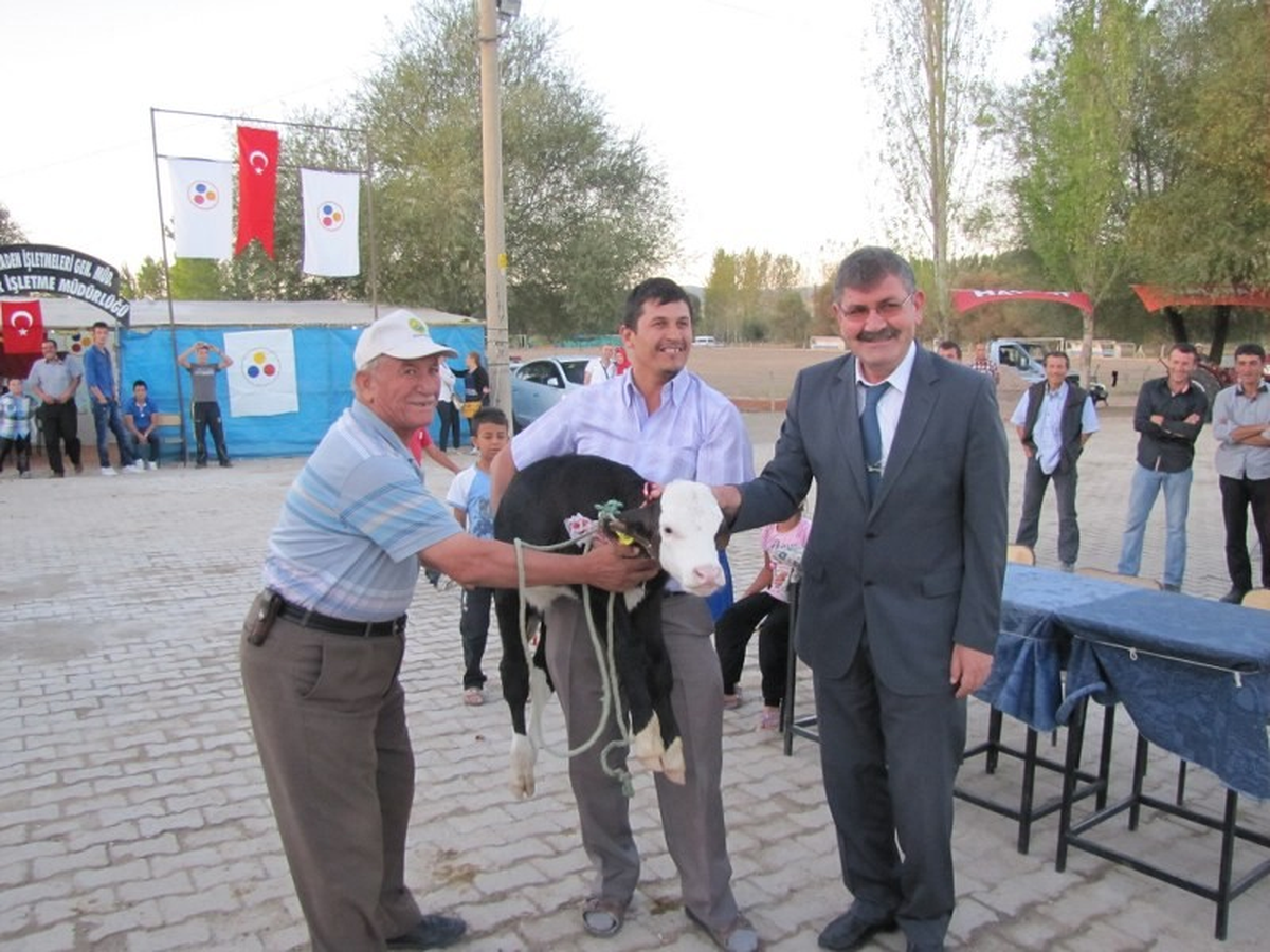 Buzağı Teşvik Yarışmasına Kucakta Geldi