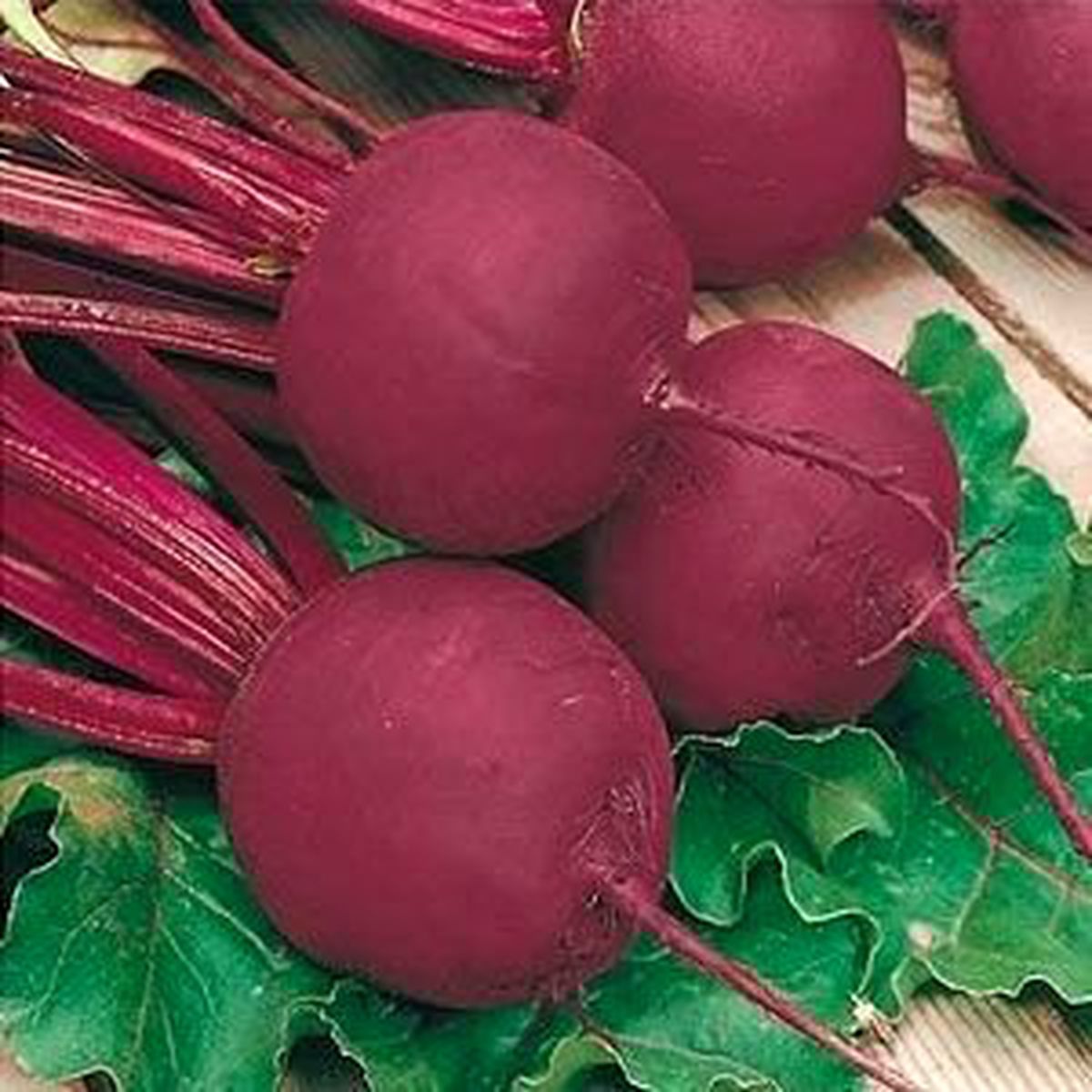 Elbistan\'da Pancar Alımı Başladı