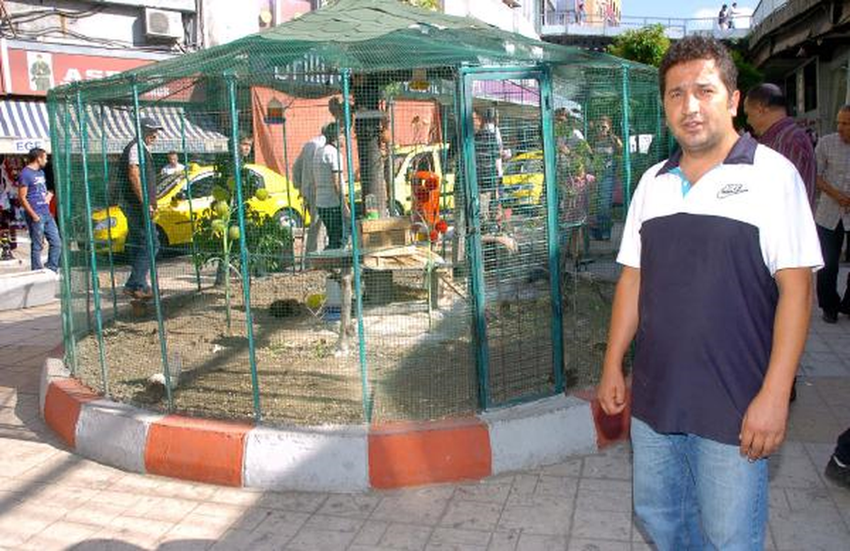 Esnafın Yaptığı Mini Hayvanat Bahçesi İlgi Görüyor
