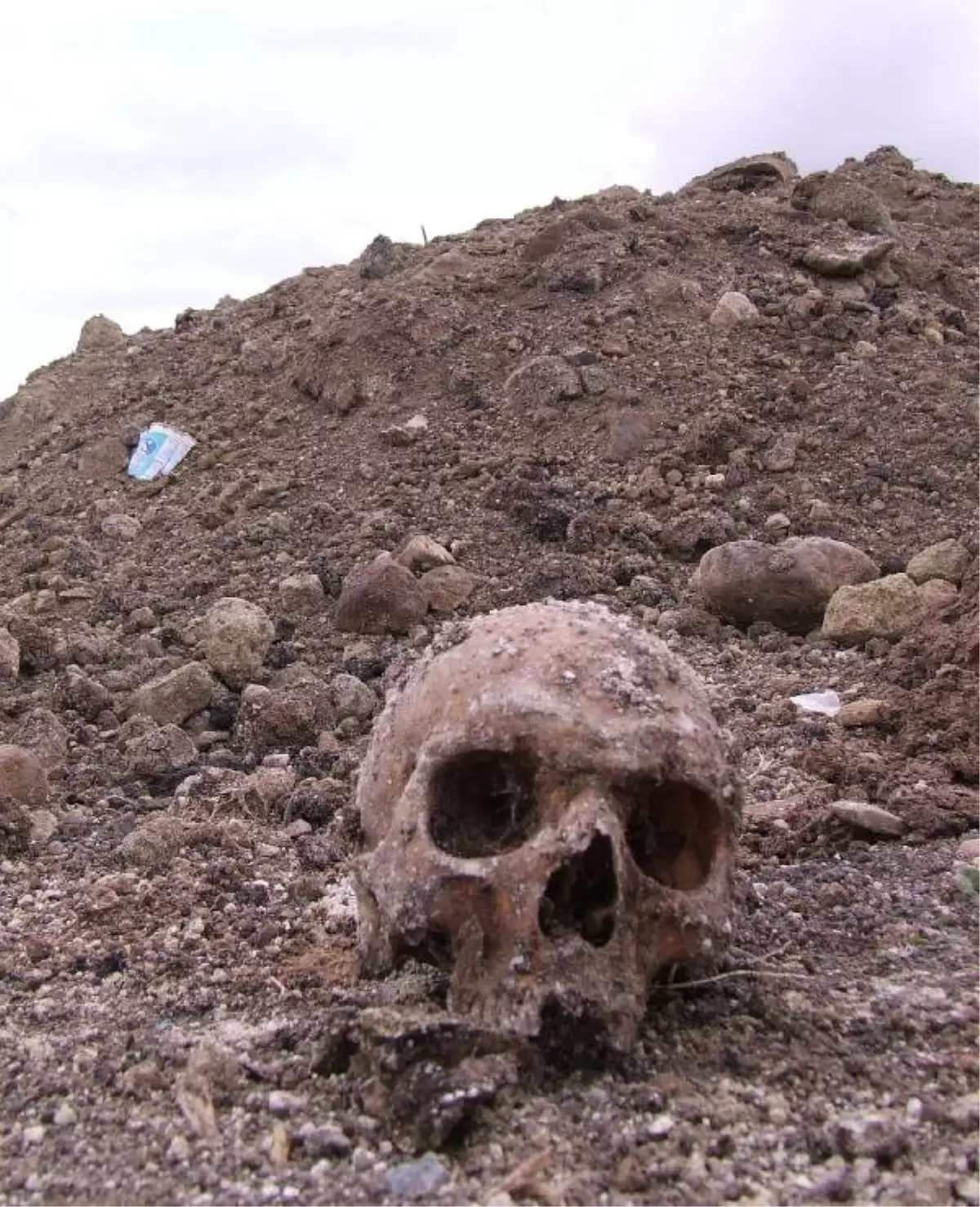 Temel Kazısında İskeletler Bulundu