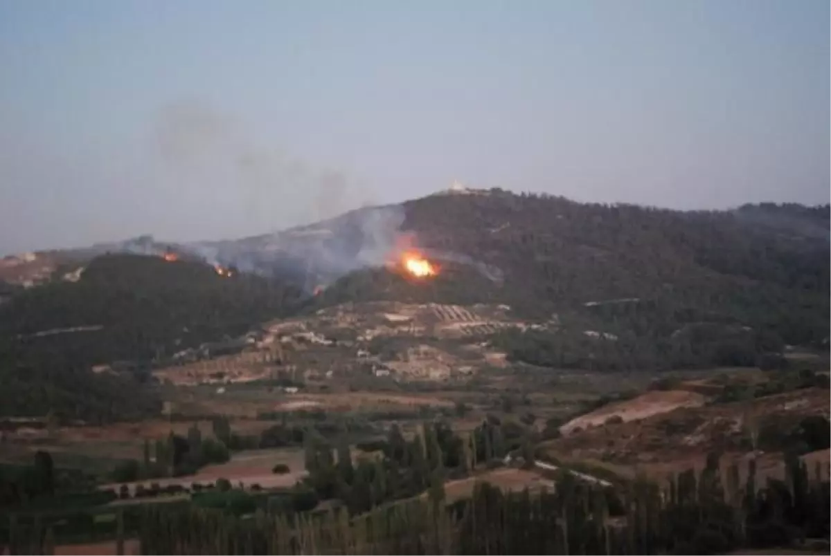 Türkiye-Suriye Sınırındaki Orman Yangını
