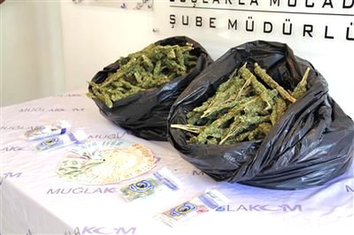 81 Kilo Esrarla Yakalandı, Tutuklandı