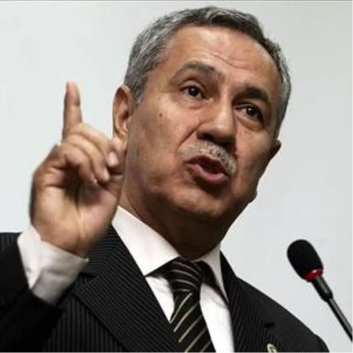 Başbakan Yardımcısı Arınç