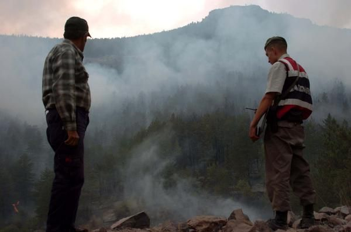 Bolu'da Orman Yangını
