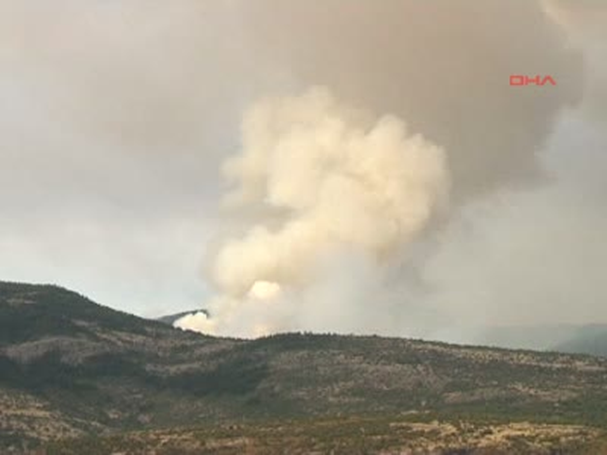 Bolu\'da Orman Yangını