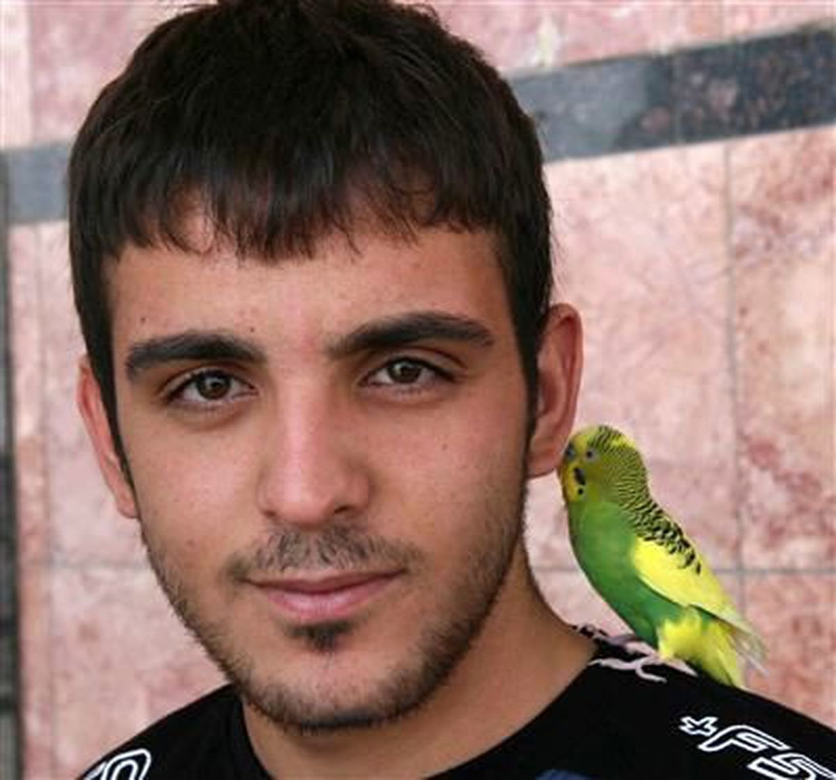 Böyle Muhabbet Kuşu Görülmedi