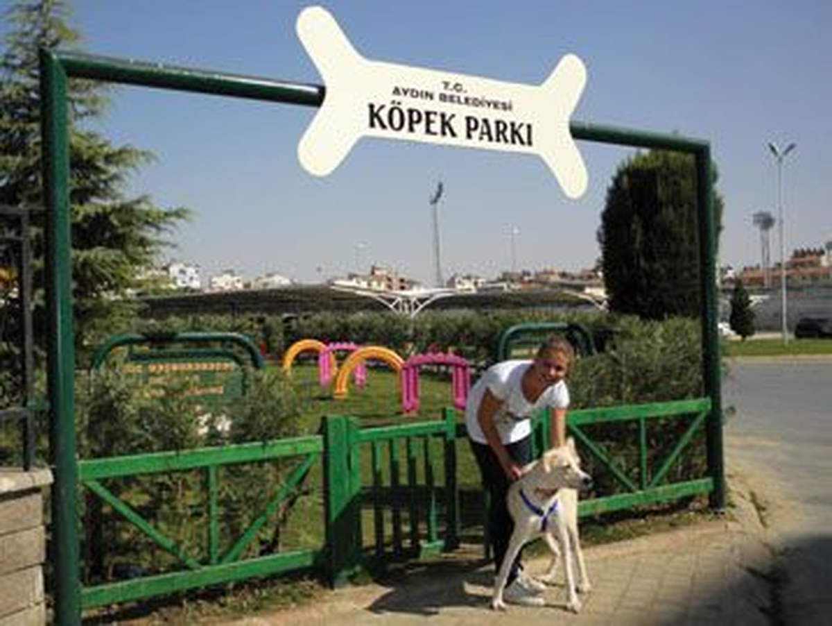 Bu Park Sadece Köpeklere Ait