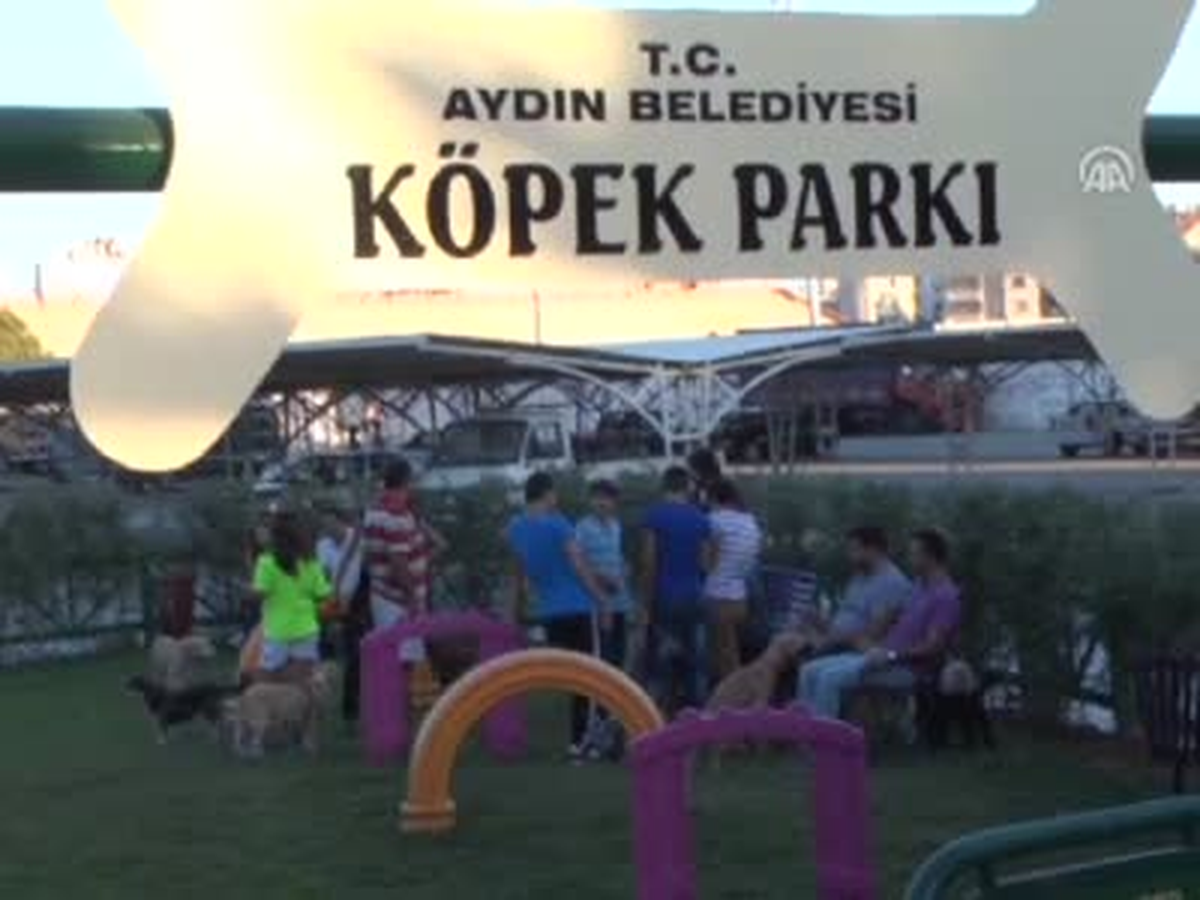 Bu Park Sadece Köpeklere Ait