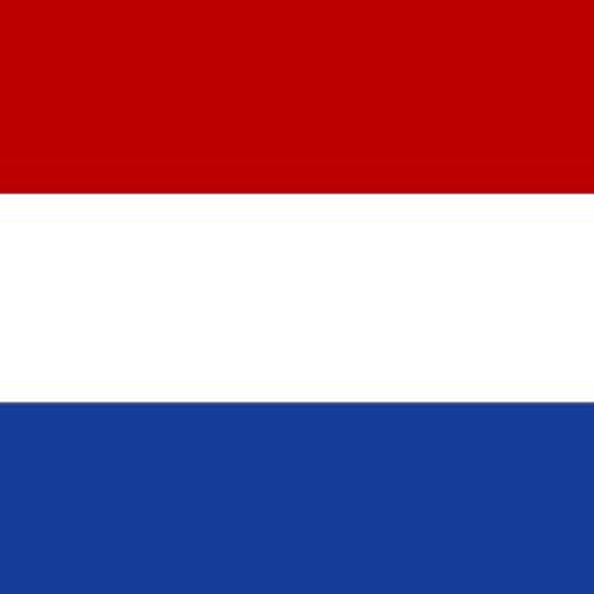Hollanda\'da Erken Genel Seçim İçin Oy Verme İşlemi Başladı.