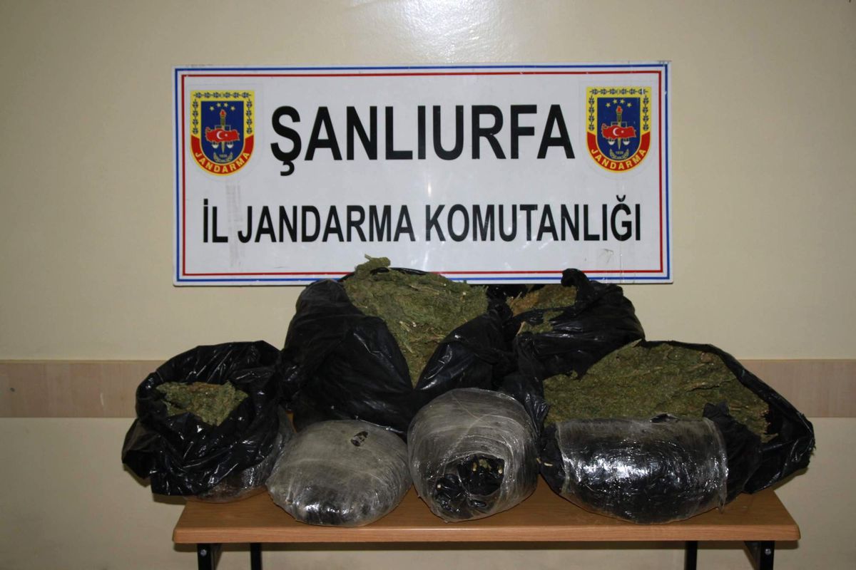 Jandarmadan Uyuşturucu Operasyonu