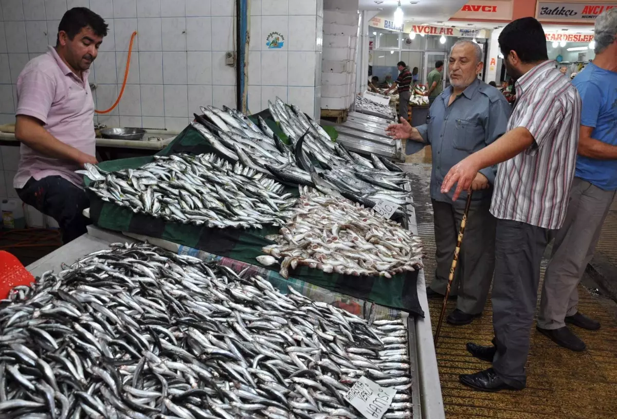 Kocaeli'de Balık Fiyatları