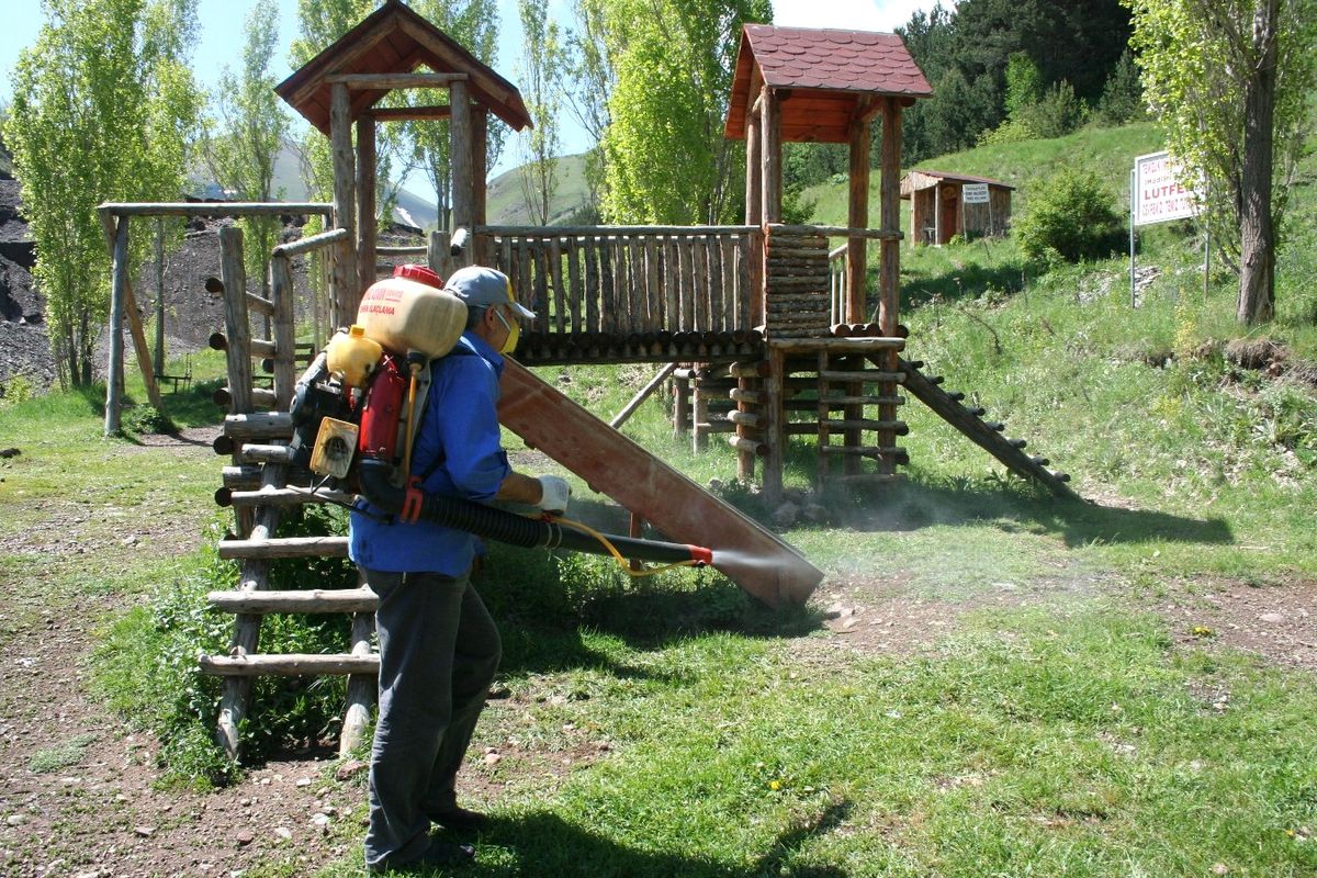Palandöken Belediyesi, Kent Ormanını Yeniledi