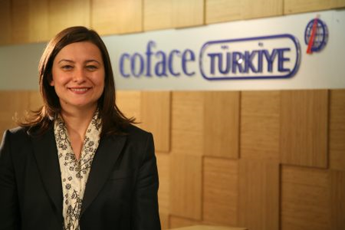 "Profesyonel Destek Önemli"