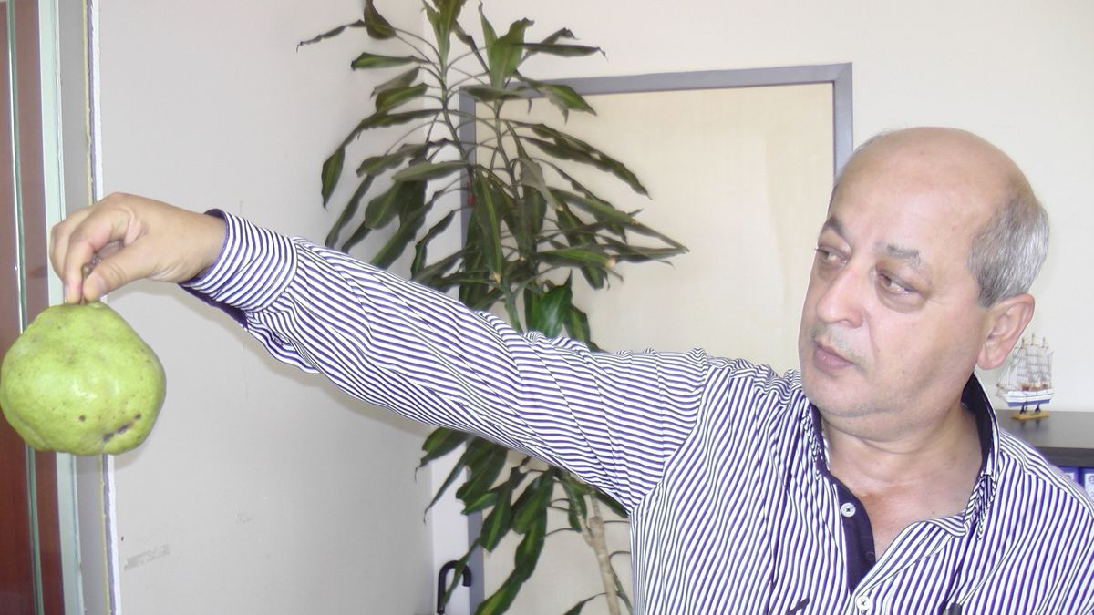 Dev Armut Görenleri Şaşırtıyor