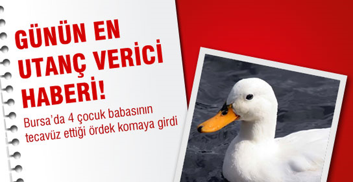 Günün En Utanç Verici Haberi