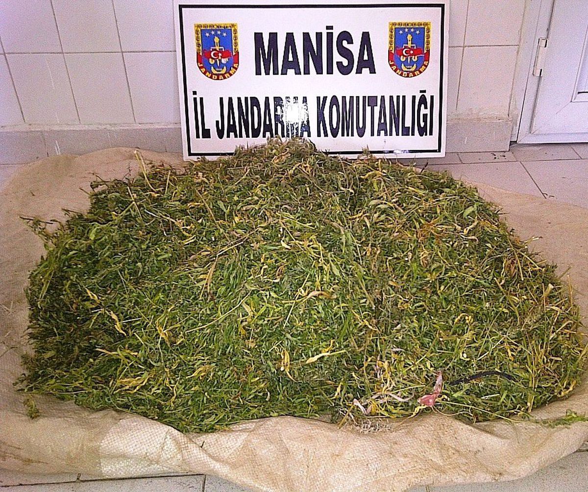 Jandarma Uyuşturucuya Geçit Vermiyor