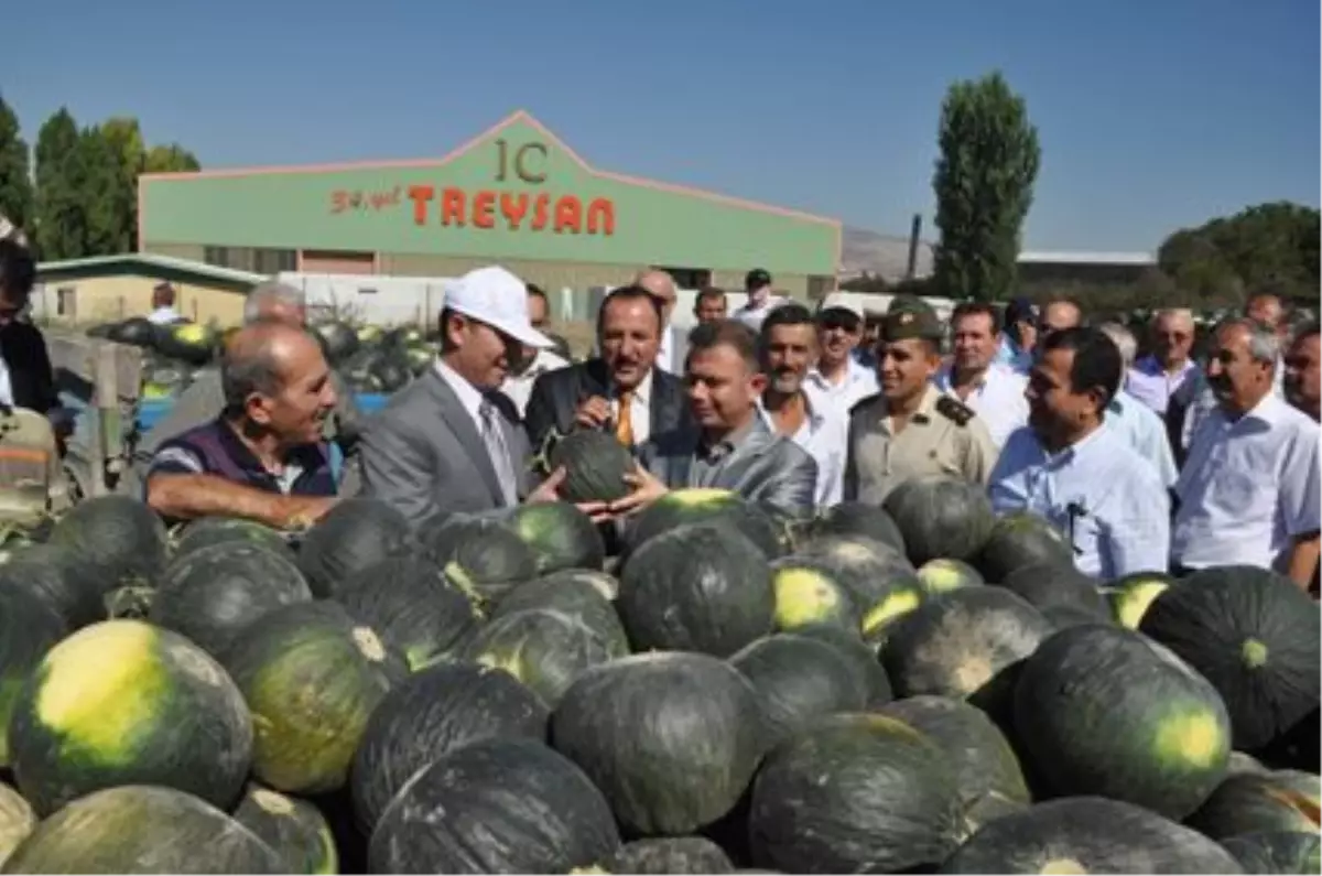 Kavun Eken Çiftçinin Yüzü Güldü