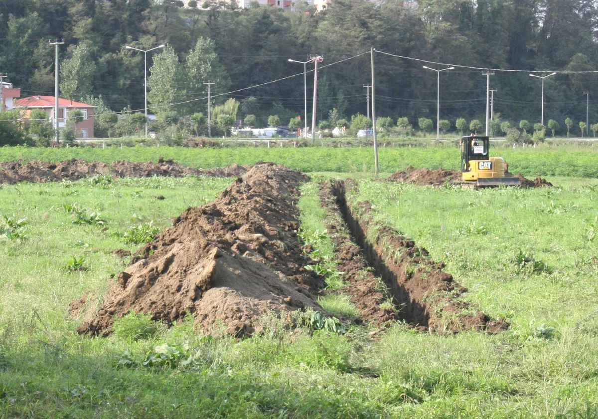Ordu Botanik Bahçesine Kavuşuyor