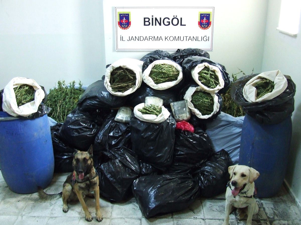 Bingöl\'de Uyuşturucu Operasyonu