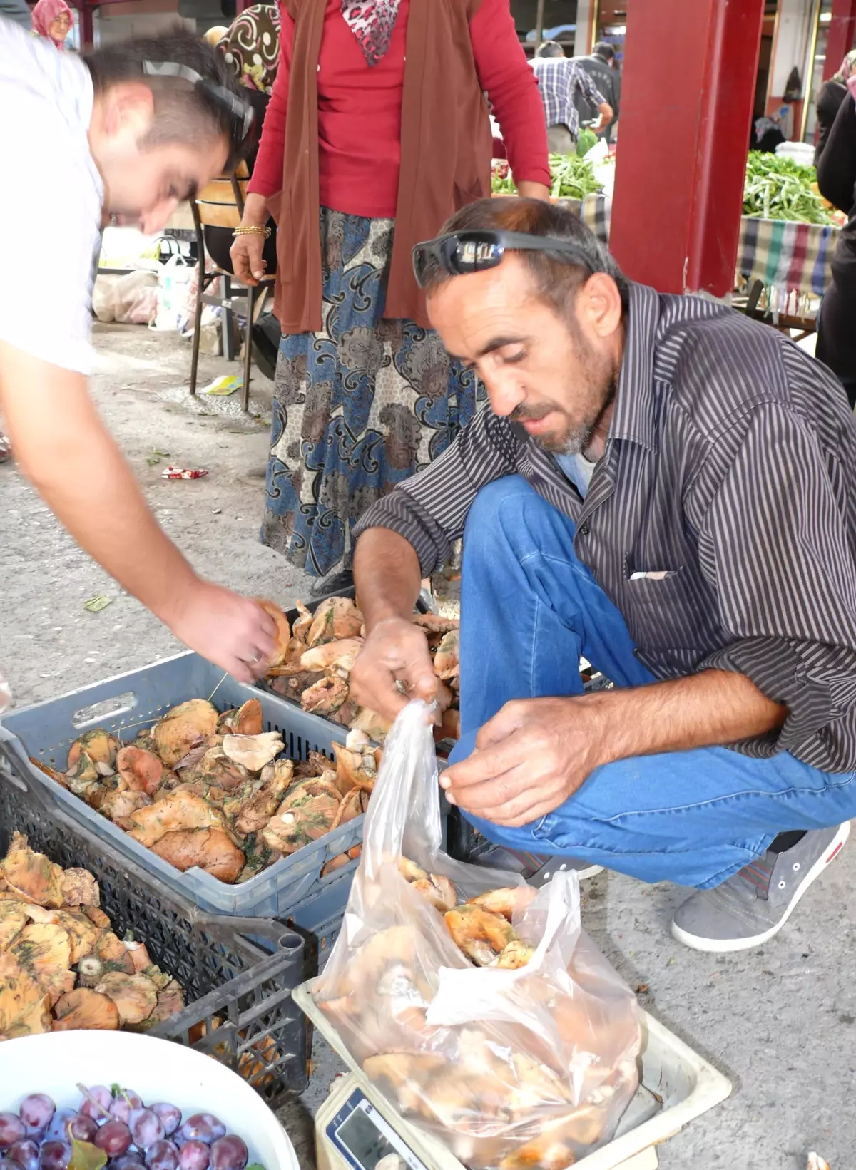 Kanlıca Mantarı Büyük İlgi Gördü