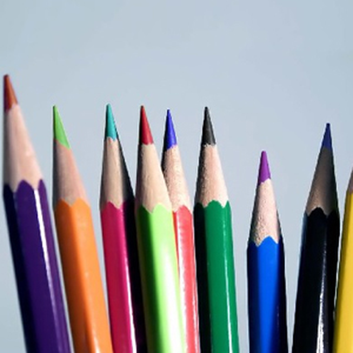 Öğrencinin Olmazsa Olmazı