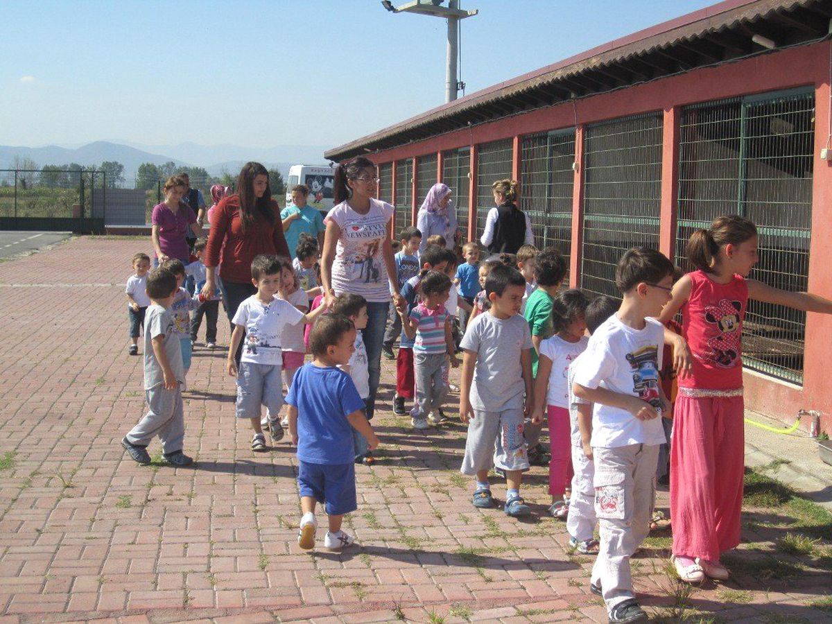 Sokak Hayvanları Bakım Evi Misafirlerini Ağırlıyor