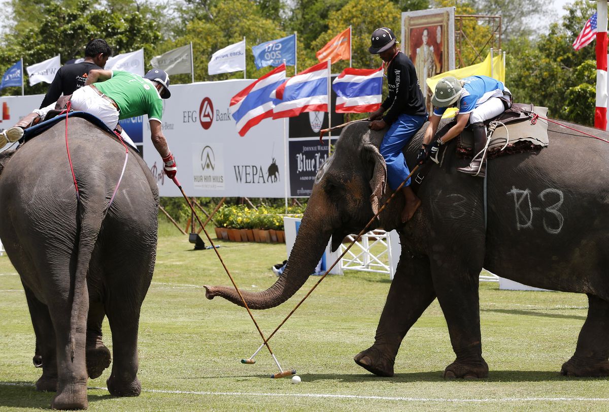 2012 Fil Polo Turnuvası Tayland\'da Başladı