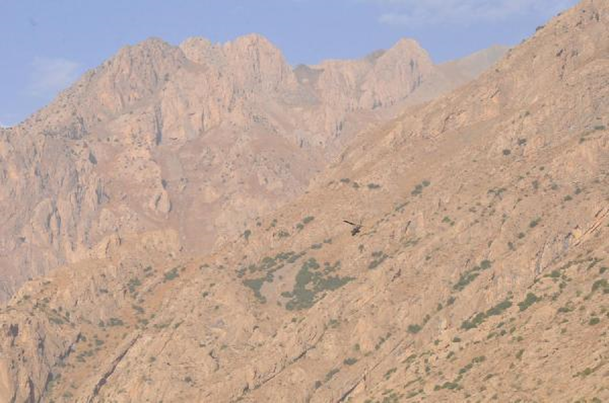 Askeri Konvoyun Geçişi Sırasında Patlama (2)
