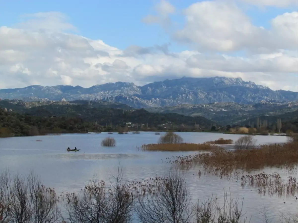 Azap\'ın Çilesi Bitmiyor