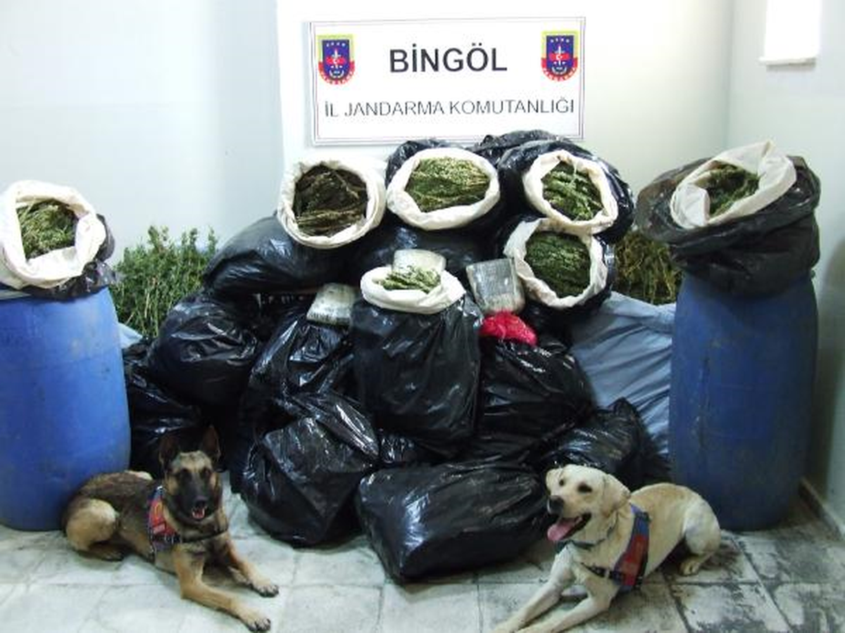 Bingöl\'de Uyuşturucu Operasyonu
