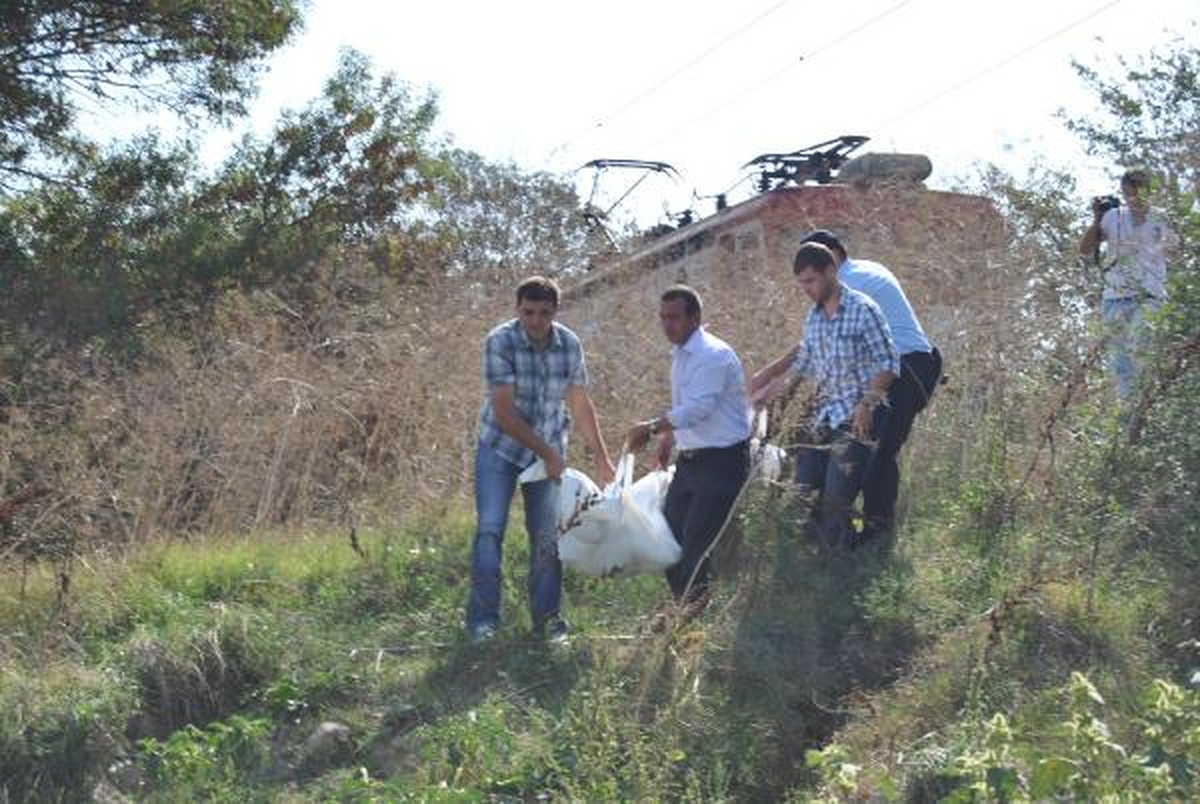 Tren Raylarında Kadın Cesedi Bulundu