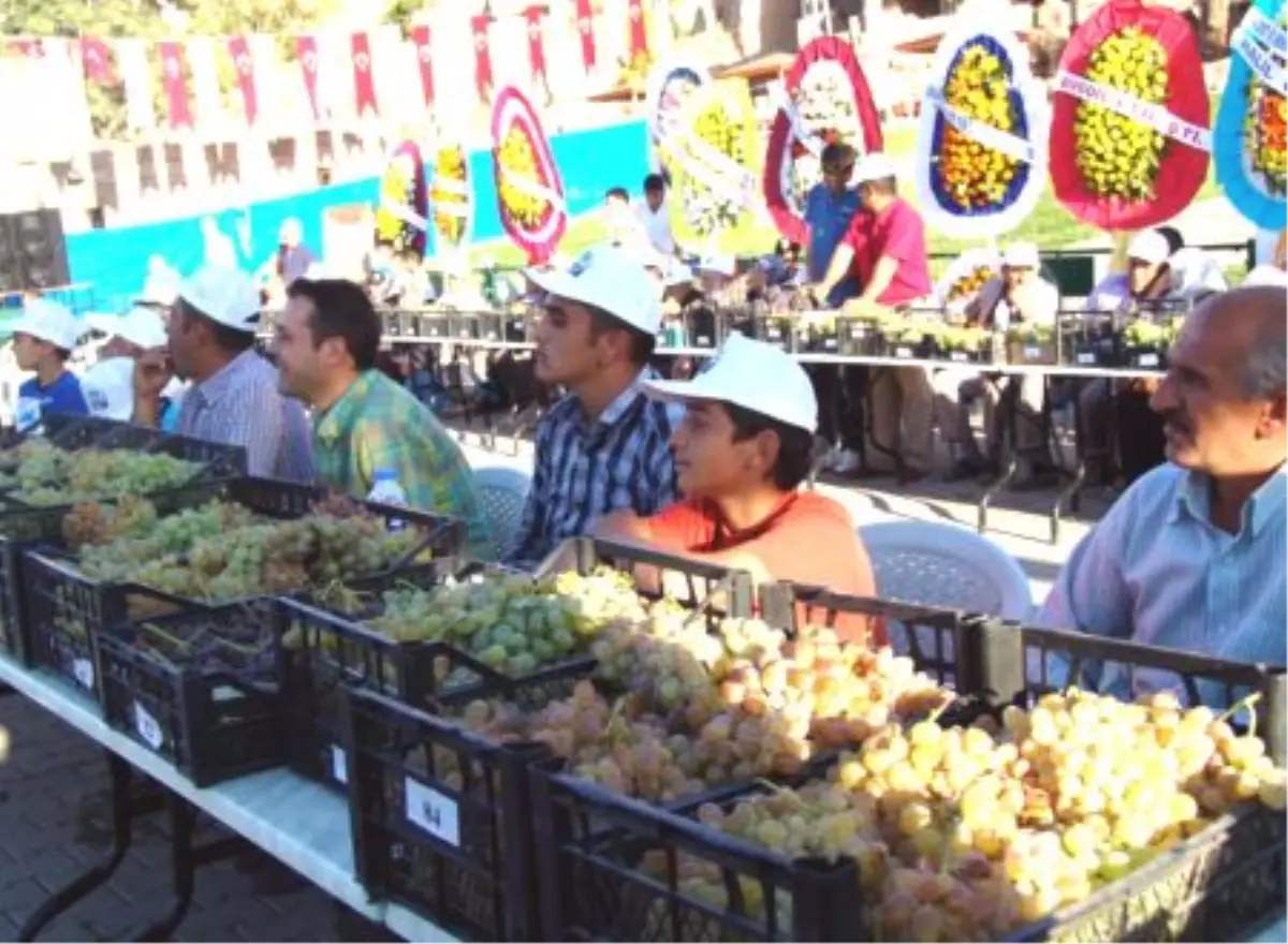 20. Kültür Turizm ve Üzüm Festivali İncesu'da Yapıldı