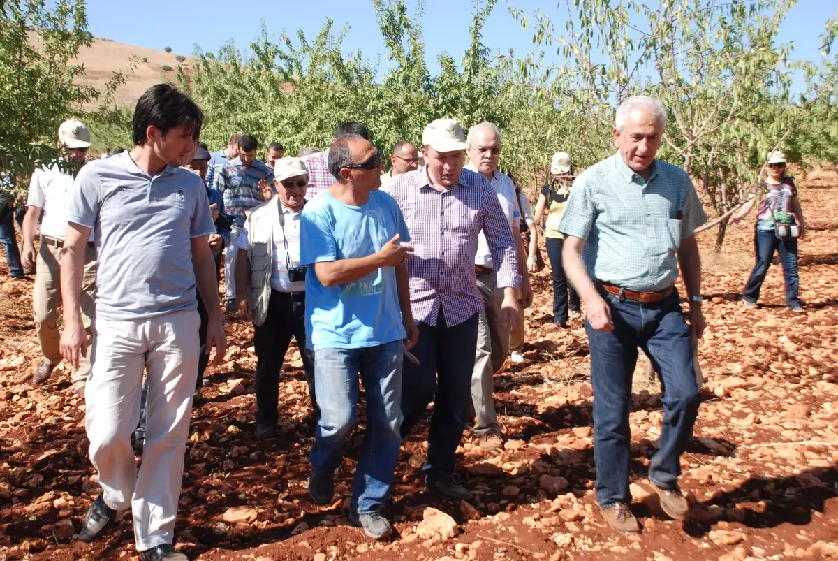 3. Ulusal Antep Fıstığı ve Badem Çalıştayı Sona Erdi