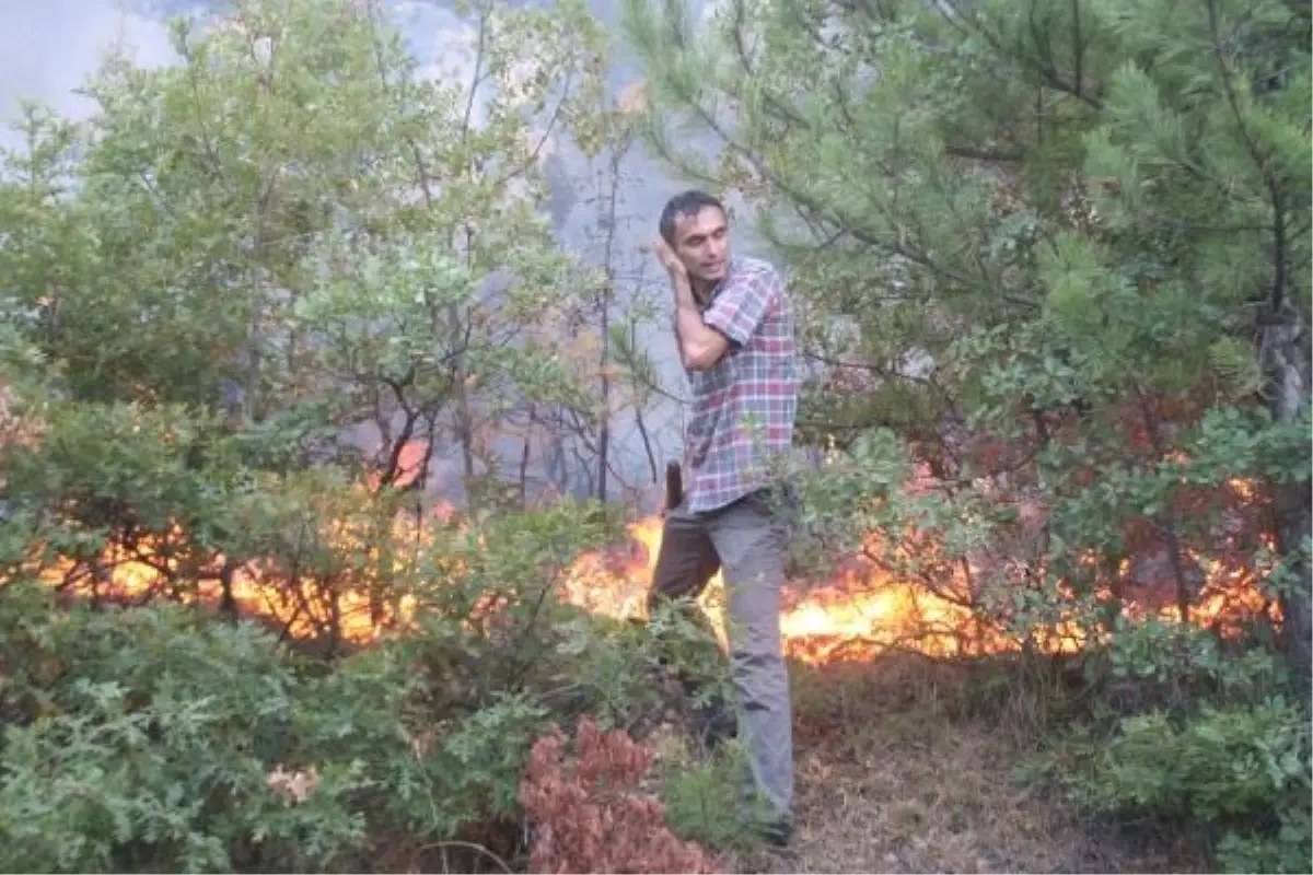 Kütahya'daki Orman Yangını