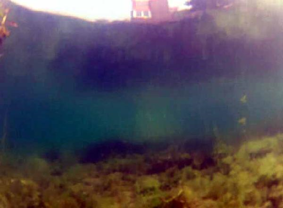 Sapanca Gölü\'nün Suyu Bulanık, Dibi Yosunlu