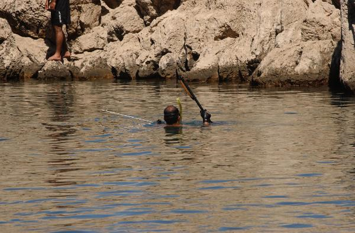 Yasak Bölgede 'Gizli' Zıpkınla Balık Avı