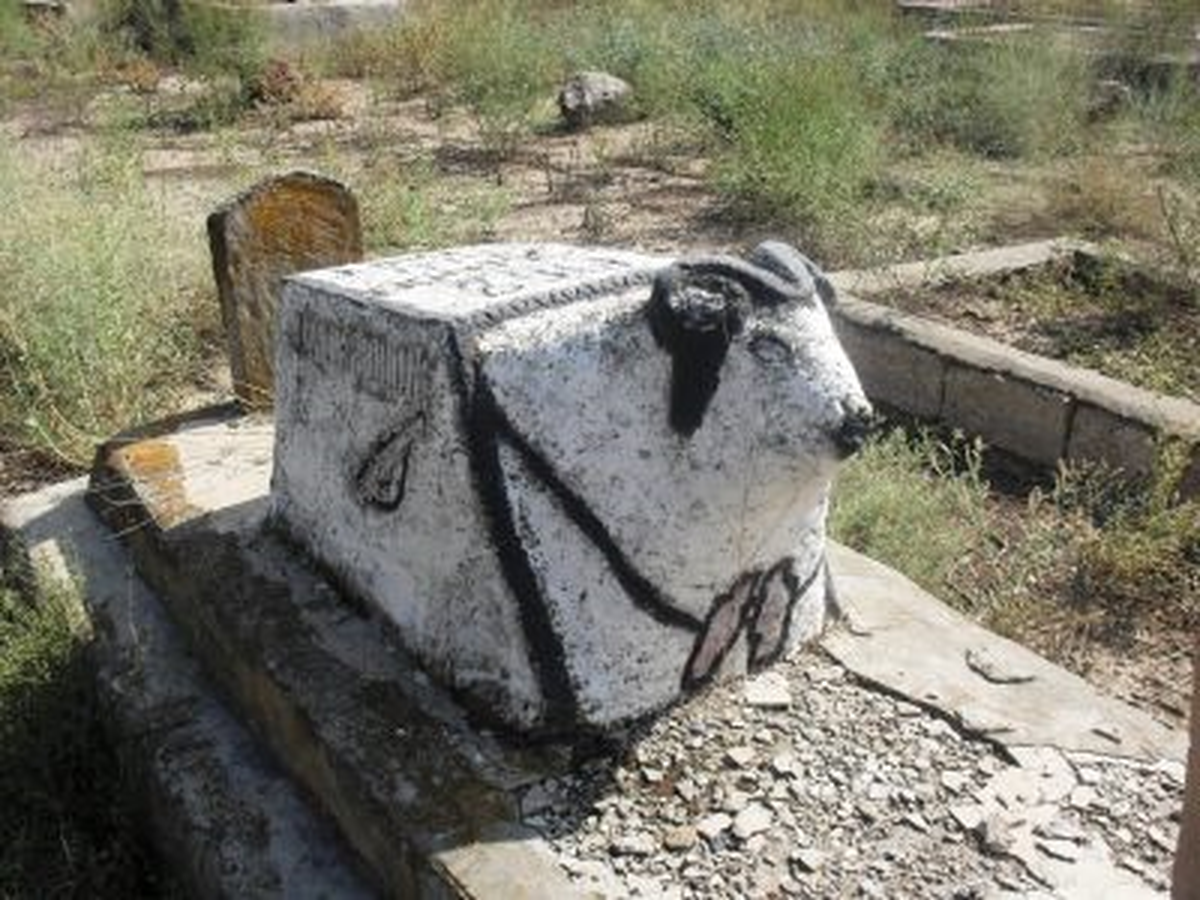 Çakırtaş Köyündeki Koçbaşlı Mezarlar Korunmalı