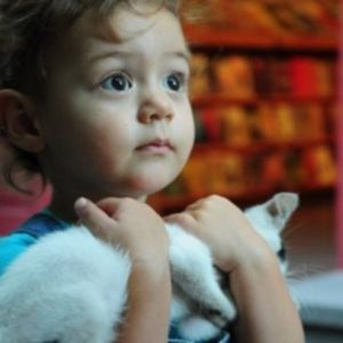 Çocuklarda Hayvan Sevgisi Önemli