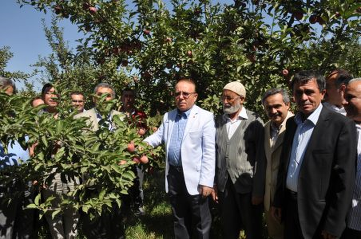 Elma Hasat Sezonu Dualarla Başladı