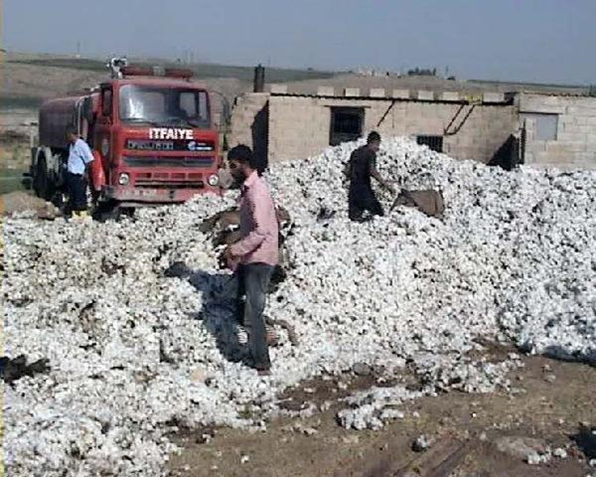 Kamyon Elektrik Tellerine Çarptı, 12 Ton Pamuk Yandı