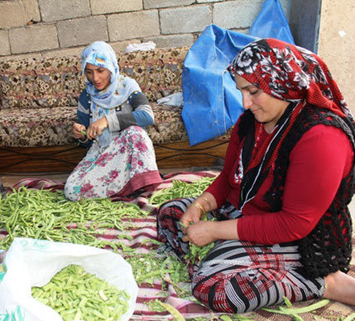 Köylerde Kışlık Yiyecek Hazırlıkları Başladı