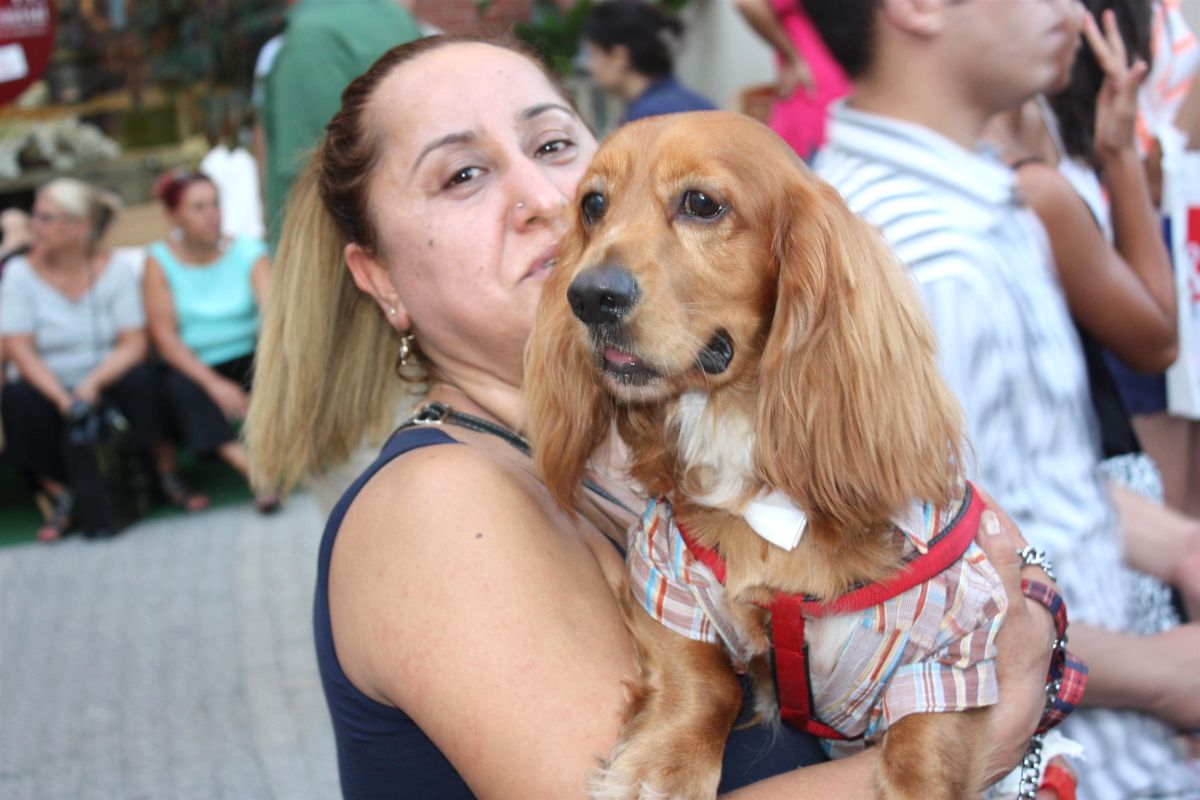 Mersin\'in En Güzel Köpekleri Forum Mersin\'de Seçildi