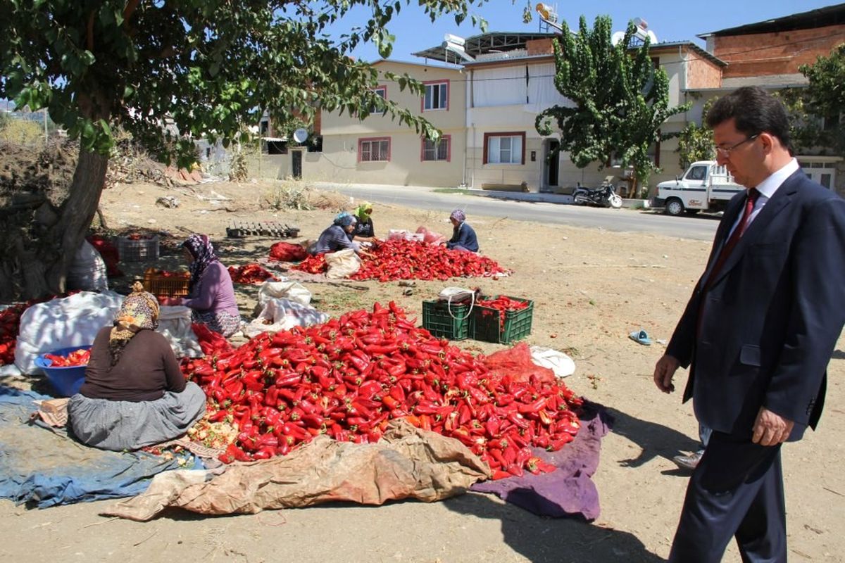 Nazilli\'nin Havası Bile İstihdam Sağlıyor