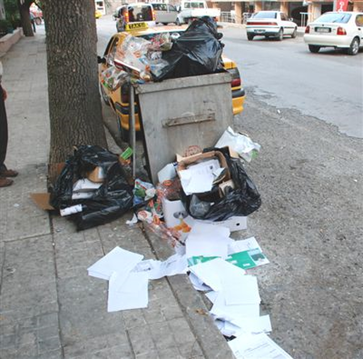 Şanlıurfayenidenbanka Müşterilerinin Kimlikleri Çöpe Atıldı