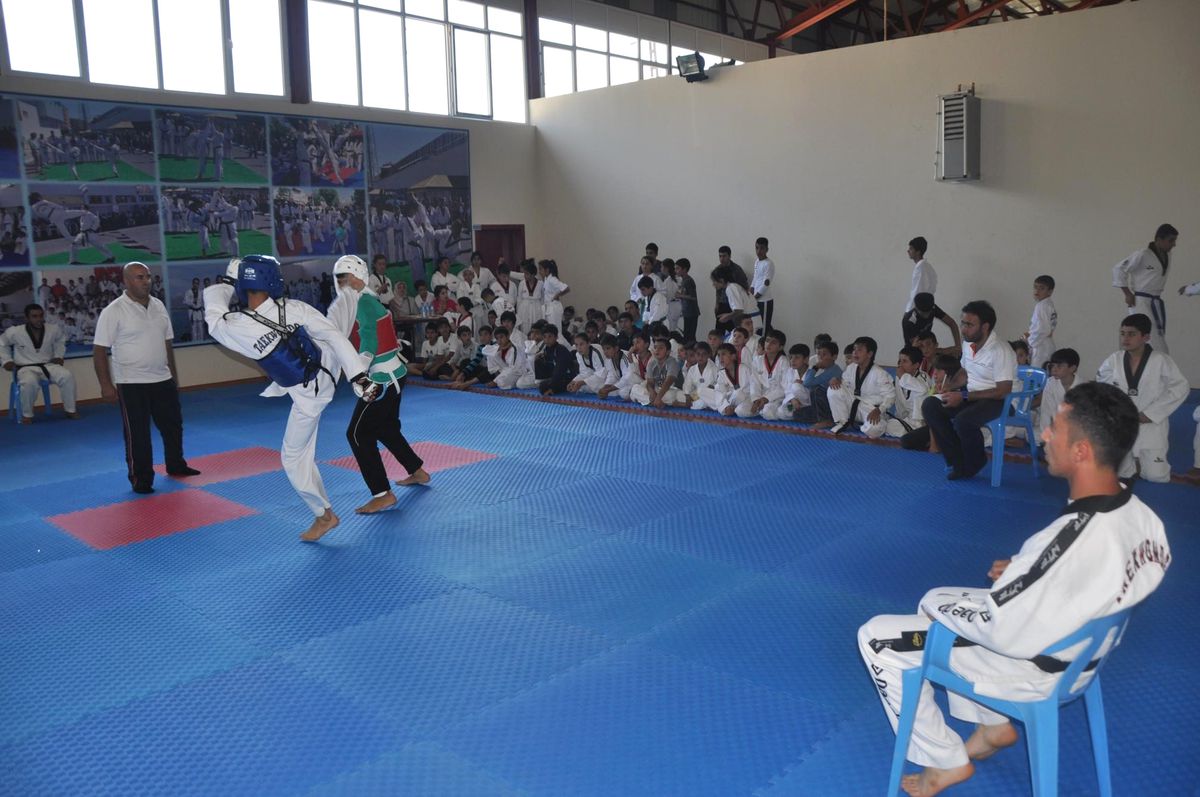 Van\'da Taekwondo Kuşak Sınavı