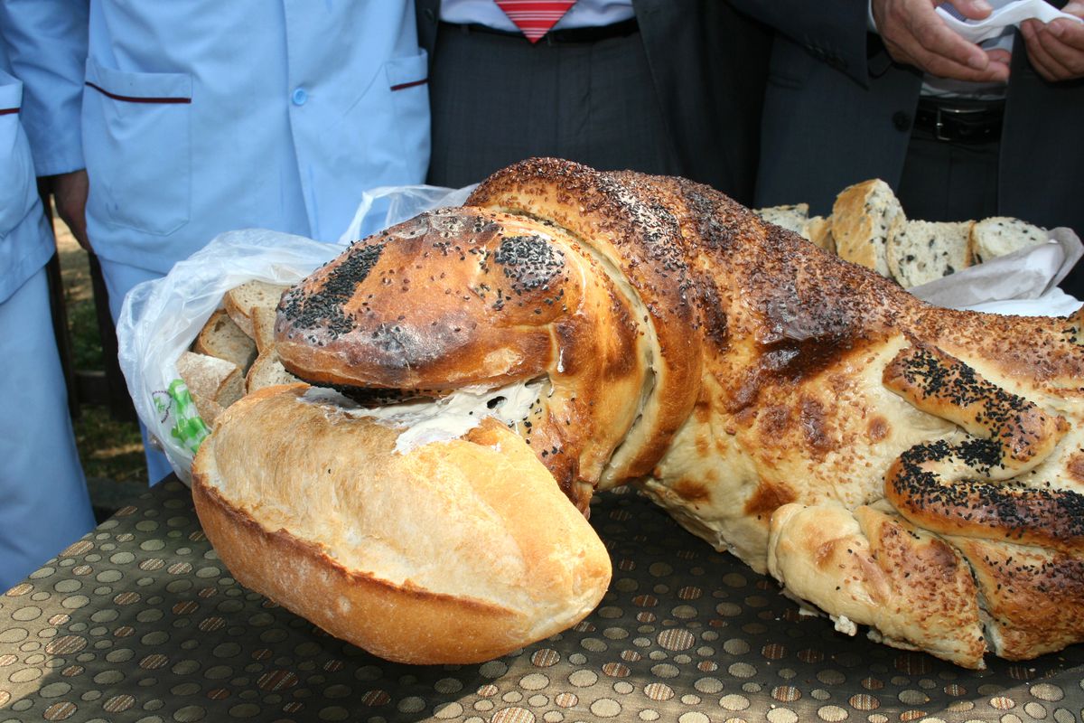 Ekmek Timsahın Ağzında!
