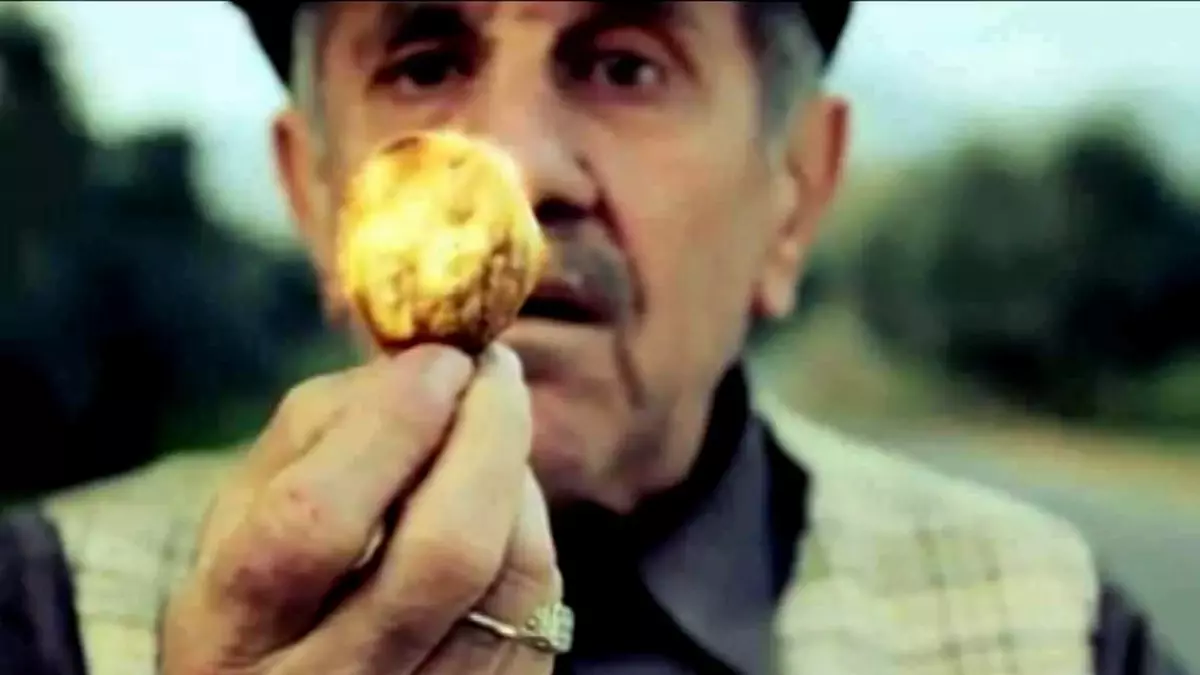 Süper İncir, Motor Diyor