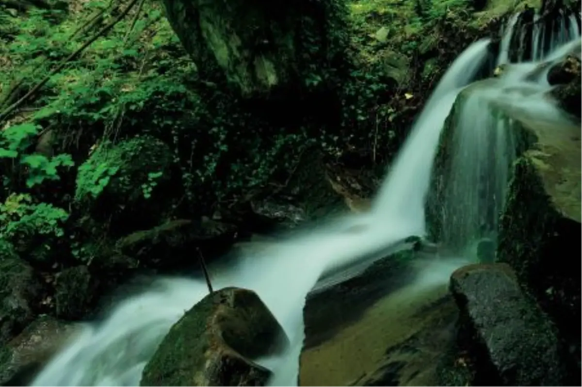 Acqua Panna Şişeleri Türkiye\'ye Geliyor