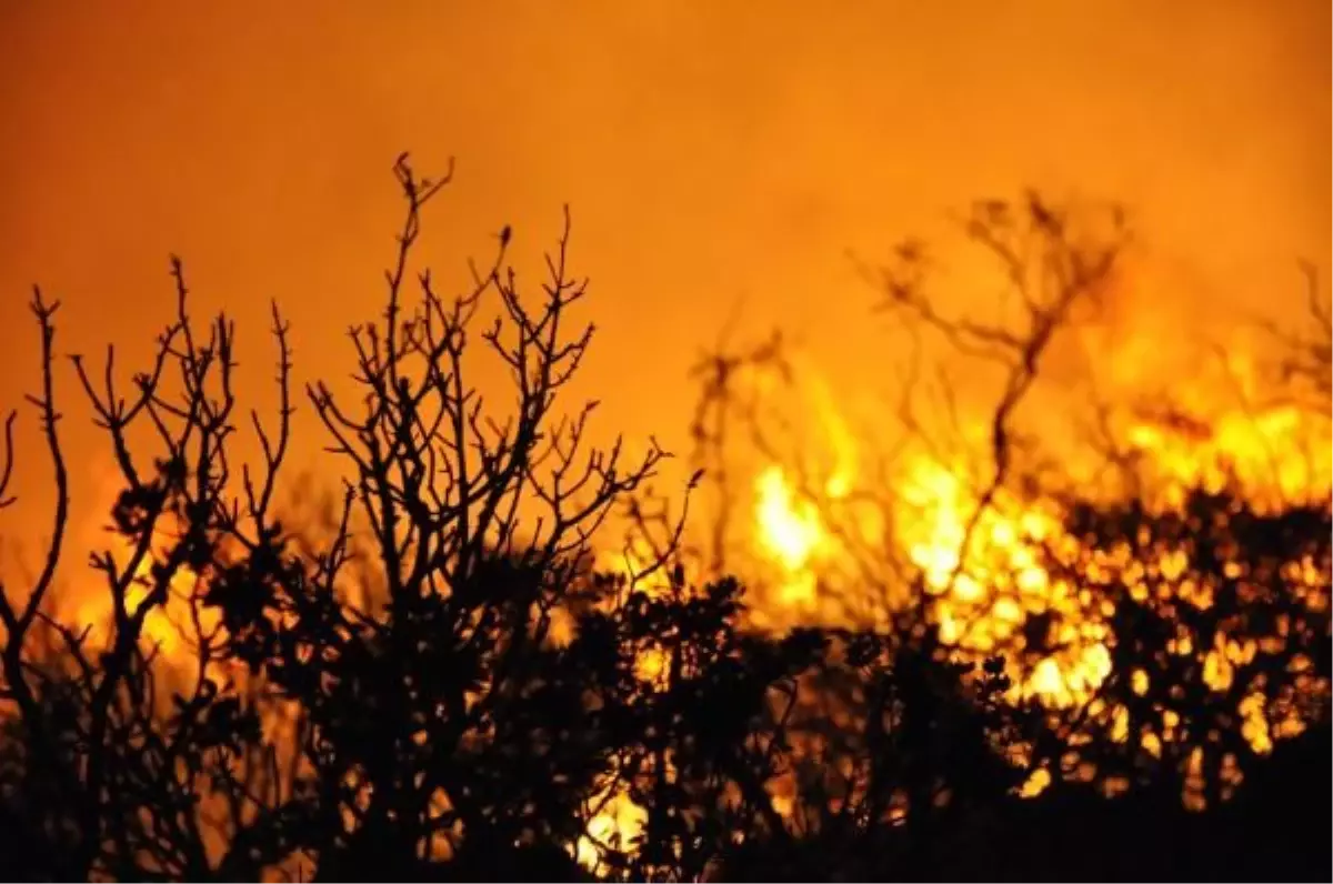 Amasya'da Orman Yangını
