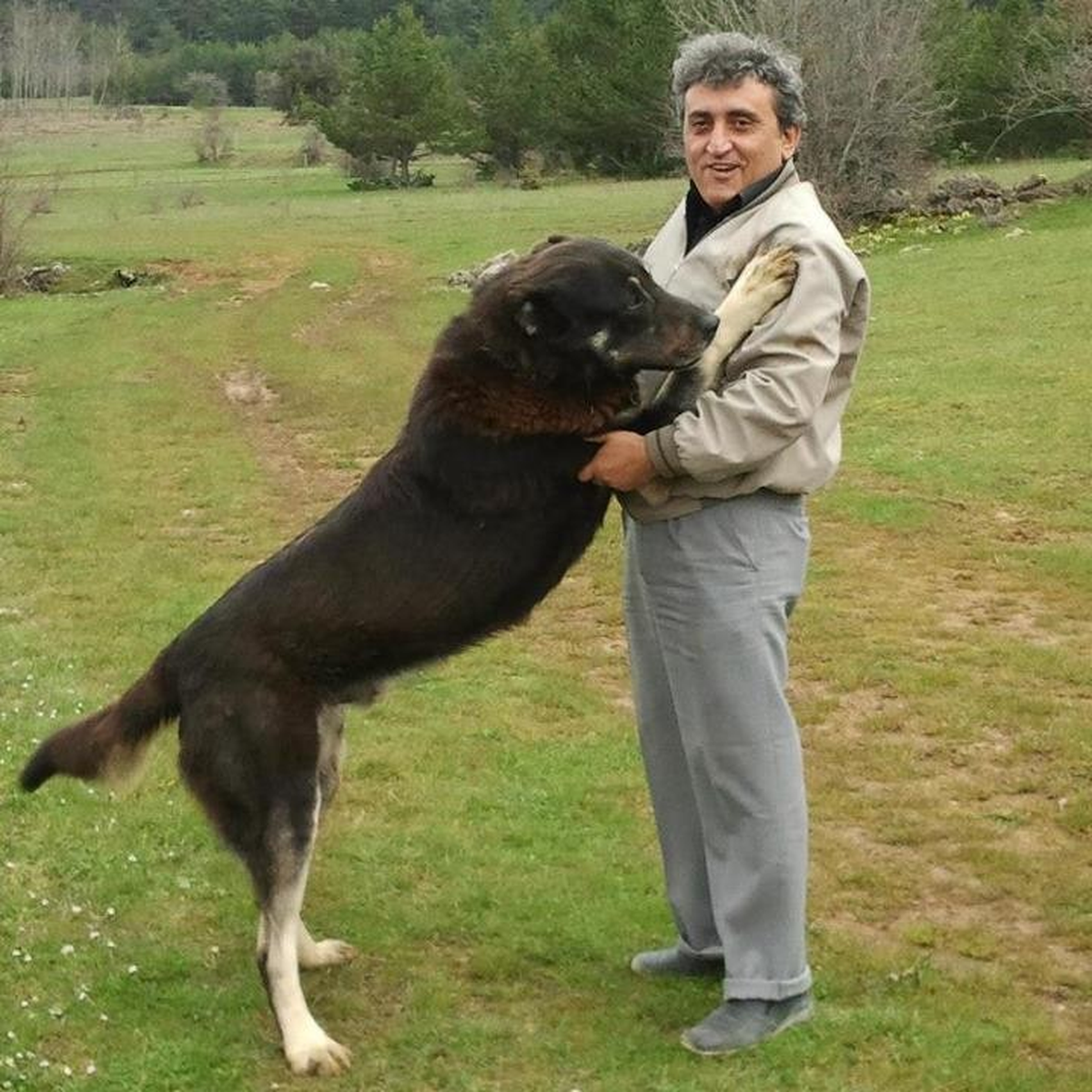 Arının Soktuğu Kişi Öldü